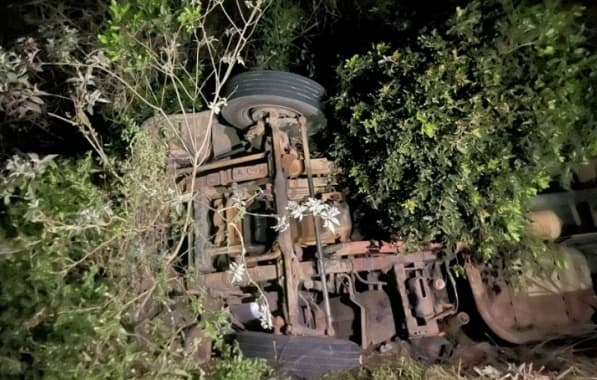 Acidente com caminhão deixa 3 animais mortos no interior baiano 