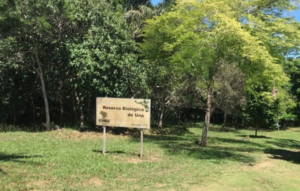 MPF e ICMBio identificam venda ilegal de terrenos e irregularidades na atuação da Neoenergia em unidades de conservação no sul da Bahia