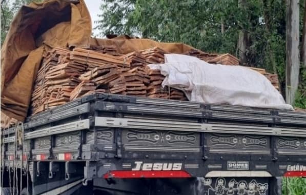 PRF apreende caminhão que transportava carga de madeira ilegal no sul baiano