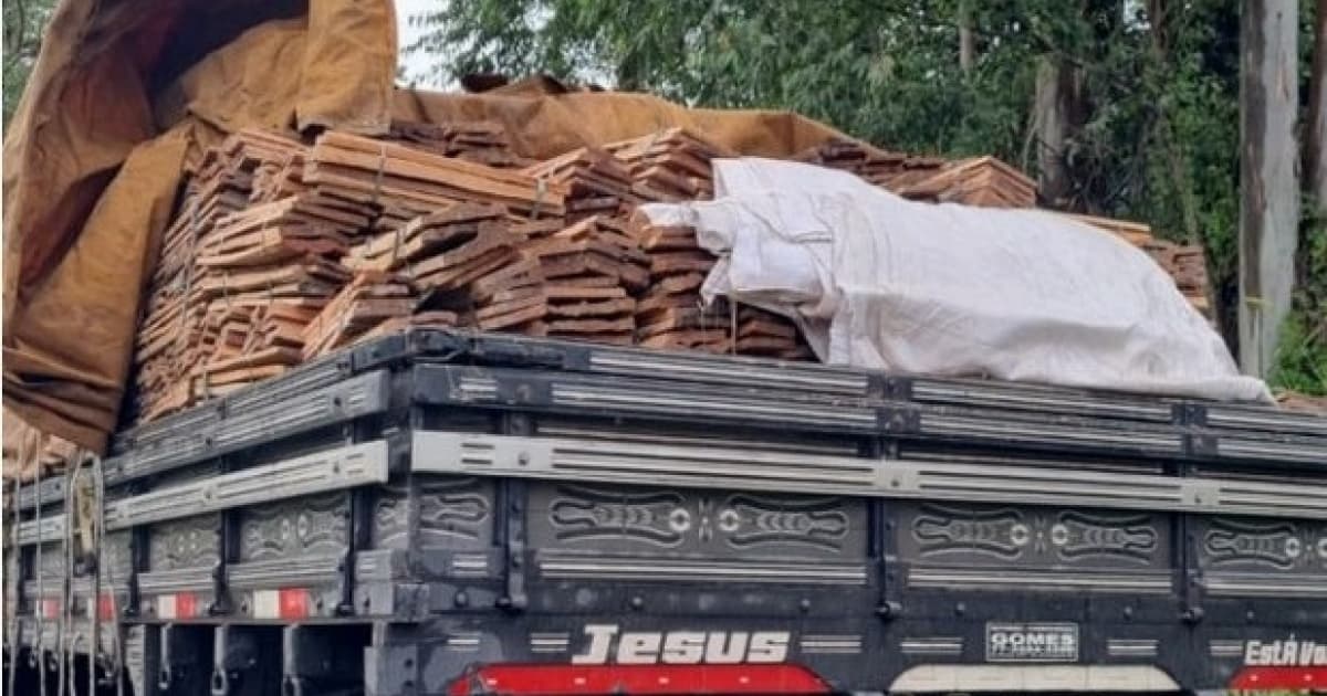 PRF apreende caminhão que transportava carga de madeira ilegal no sul baiano