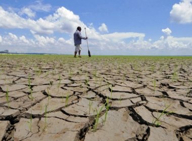 Agricultores baianos atingidos pela seca terão crédito de até R$ 100 mil