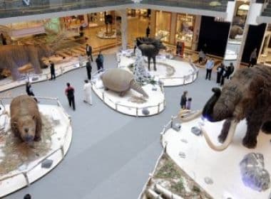 Exposição gratuita no Shopping Paralela reúne onze réplicas de animais da Era do Gelo