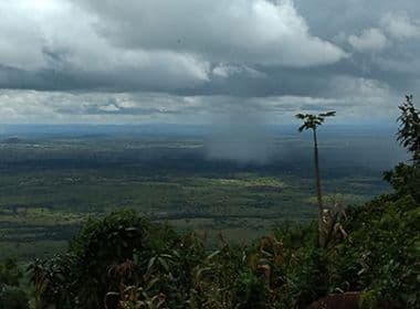 ‘WikiParques’: Concurso fotográfico sobre natureza tem inscrições abertas até domingo