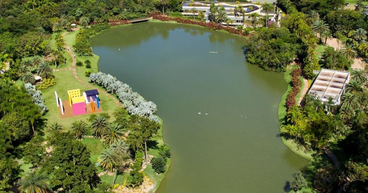 Após tragédia de Brumadinho, museu Inhotim adia reabertura 