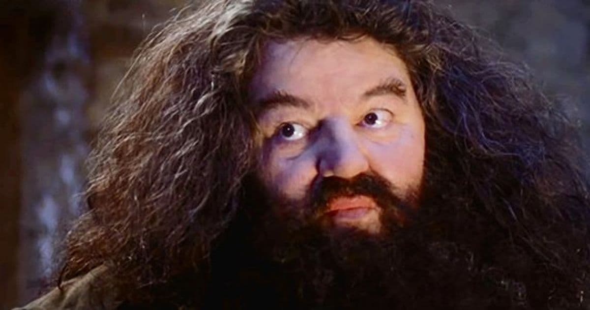 Hagrid de 'Harry Potter' aparece em cadeiras de rodas e fãs ficam preocupados; entenda