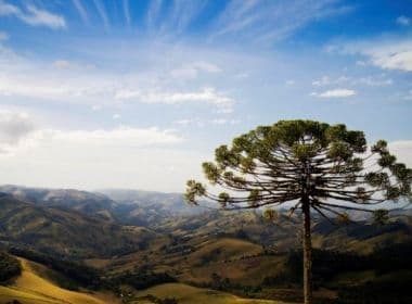 Deputado sugere a Mario Frias 'tombamento' do céu de cidade mineira pelo Iphan