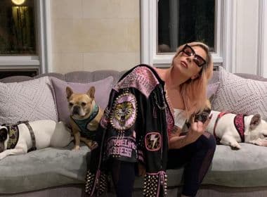 Cães de Lady Gaga são resgatados após cantora oferecer recompensa de US$ 500 mil 
