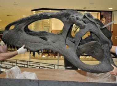 Exposição argentina &quot;Dinossauros da Patagônia&quot; chega a Salvador