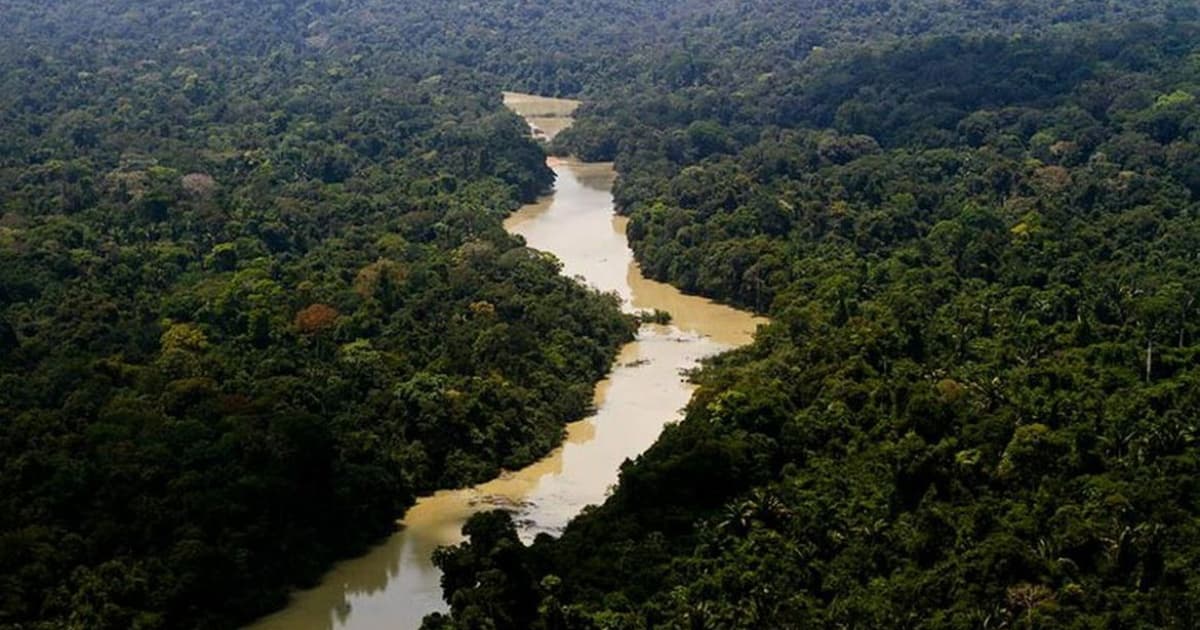 Alertas de desmatamento caem 66% na Amazônia em agosto, mas sobem 2% no cerrado