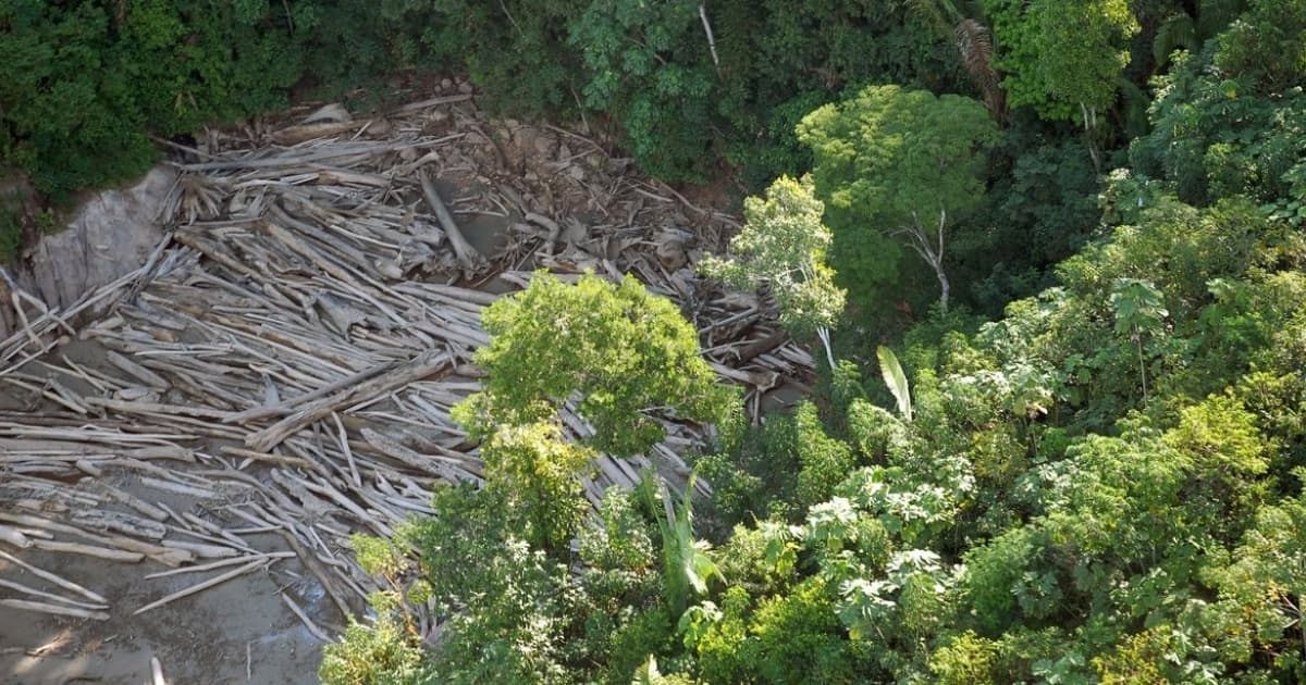 Desmatamento na Amazônia piora em até 4°C o calor na região, mostra novo estudo