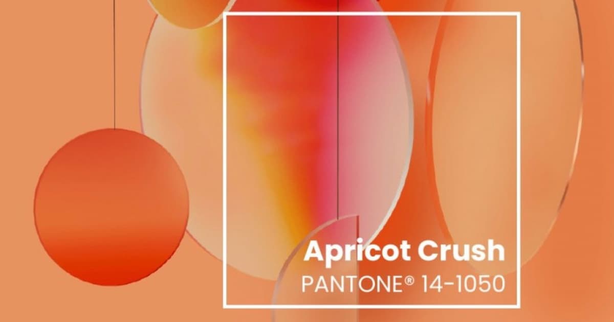 Arquitetando: Conheça a Apricot Crush, a cor de 2024!