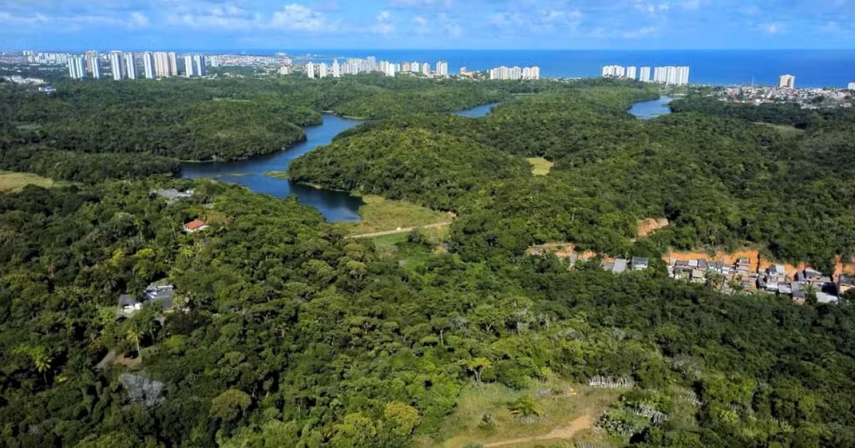 Desafio Ambiental: Ações emergenciais e permanentes somam para uma cidade mais sustentável