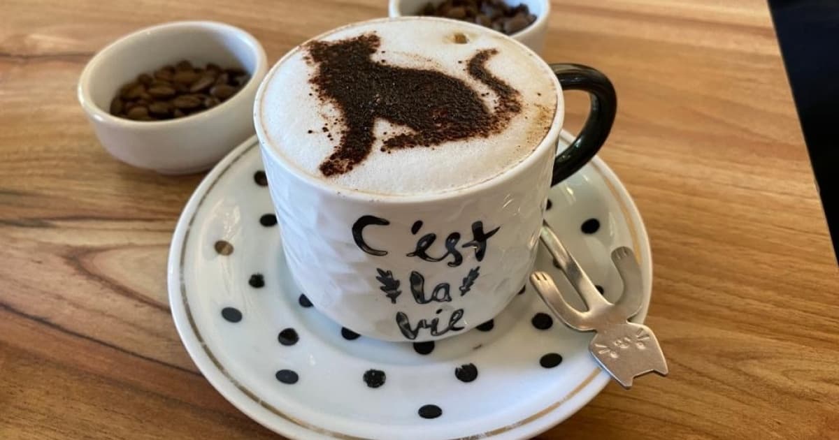 Vai um cafezinho aí? No Dia Mundial do Café, conheça cafeterias diferenciadas em Salvador