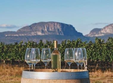 Com tour e degustação, vinícola sustentável será inaugurada na Chapada Diamantina 