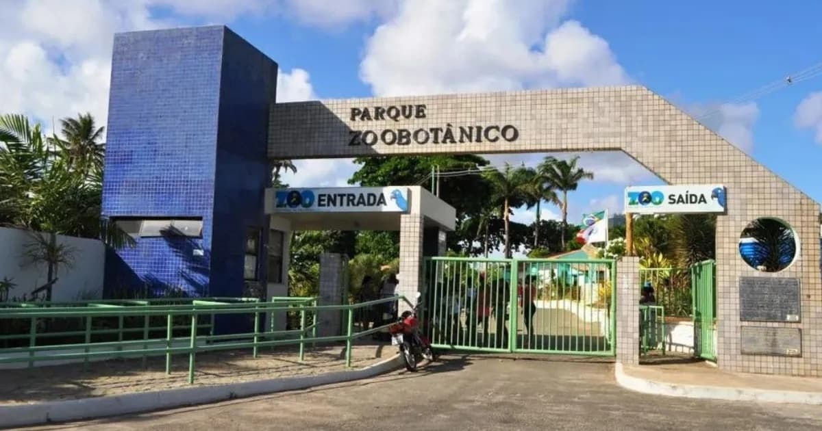 Zoológico de Salvador promove mais uma edição do "Zoo Noturno"