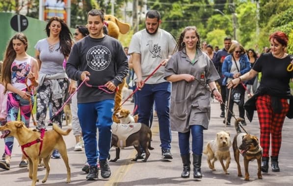 Pela primeira vez em Salvador, Cãominhada será realizada no Farol da Barra; confira 