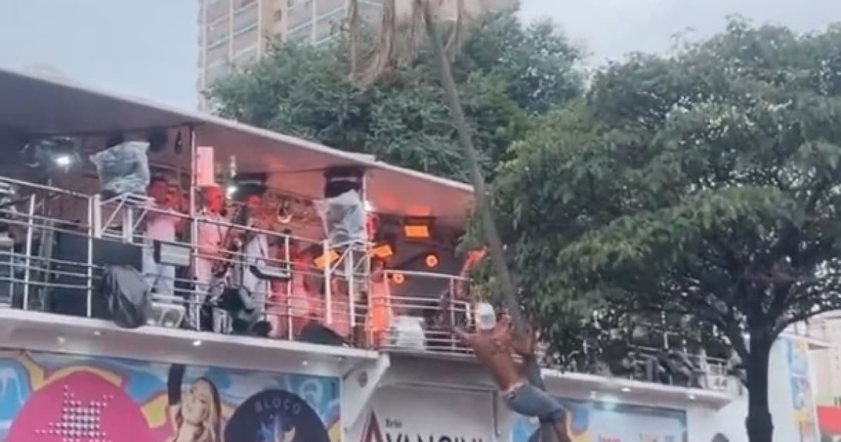 VÍDEO: Árvore despenca com folião durante apresentação de Claudia Leitte em SP