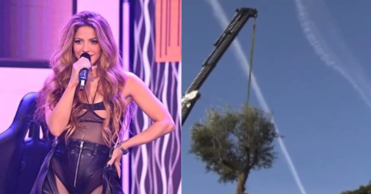 Após ser despejada, Shakira mandou guincho para tirar árvore de casa que ficou com Piqué; entenda