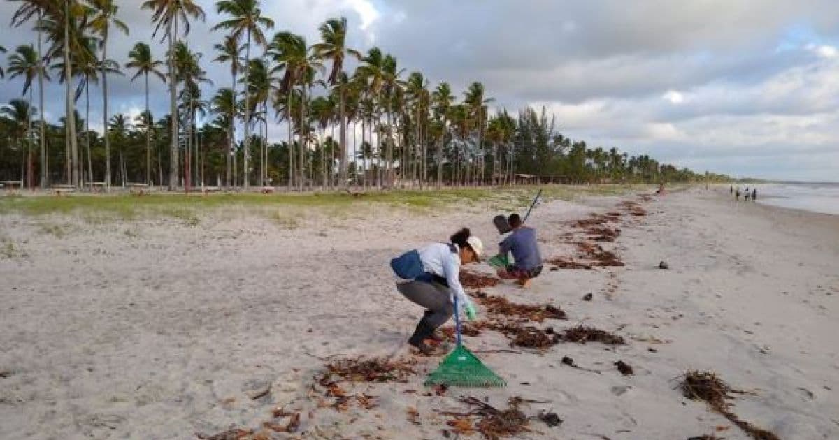 Manchas de óleo são encontradas em praias na região de Canavieiras