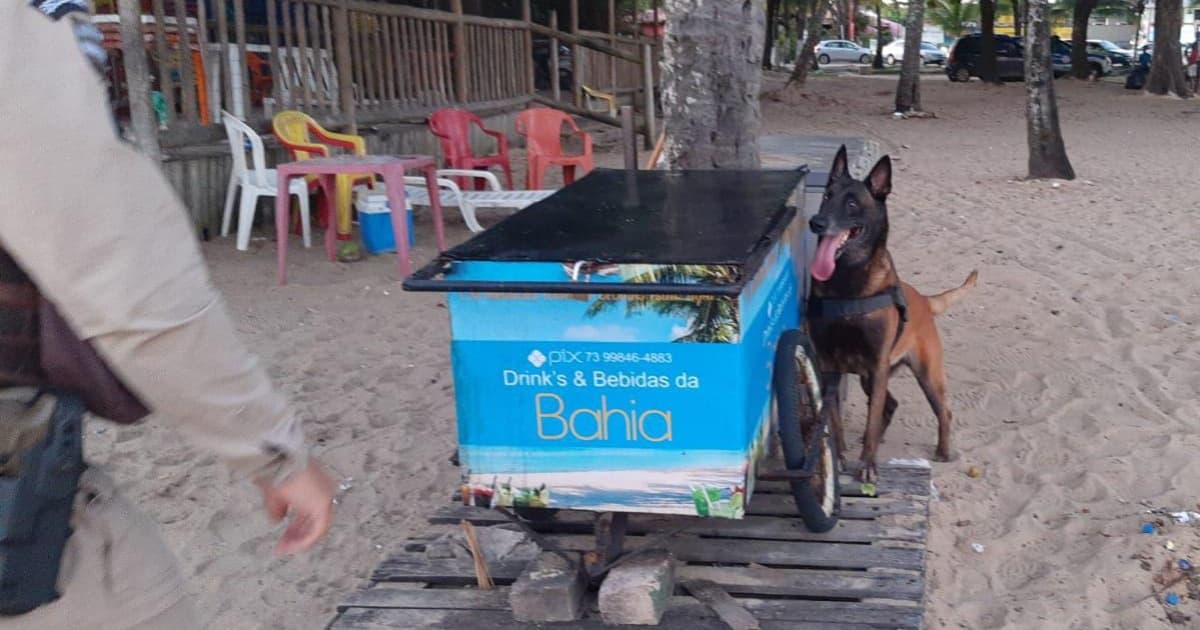 Porto Seguro: Cão farejador descobre drogas em carrinho de bebidas na praia