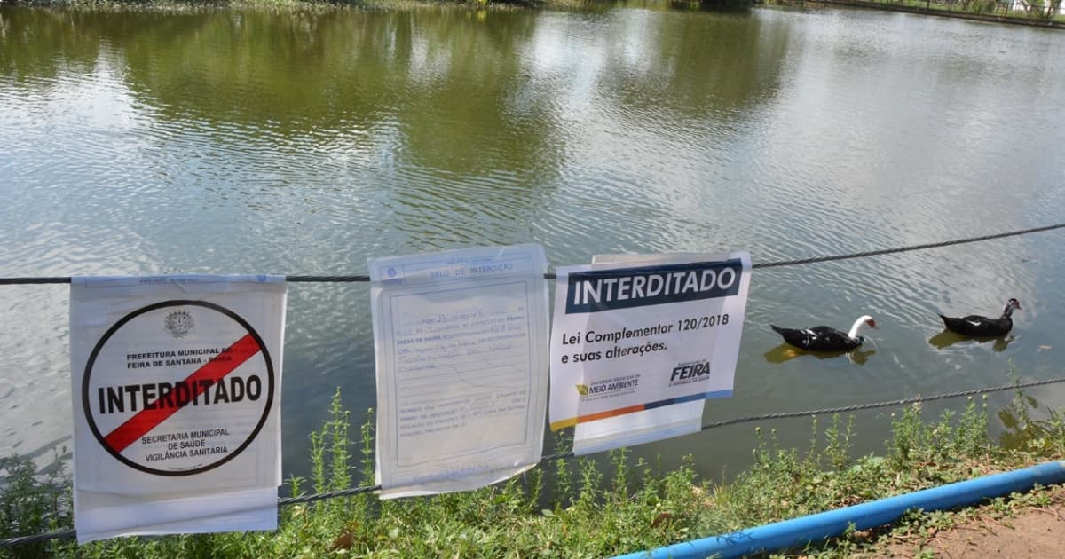 Feira de Santana: Prefeitura interdita lagoa após identificação de bactéria da cólera, doença extinta