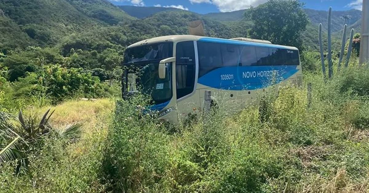 Rio de Contas: Ônibus da Novo Horizonte perde freio e sai da pista 