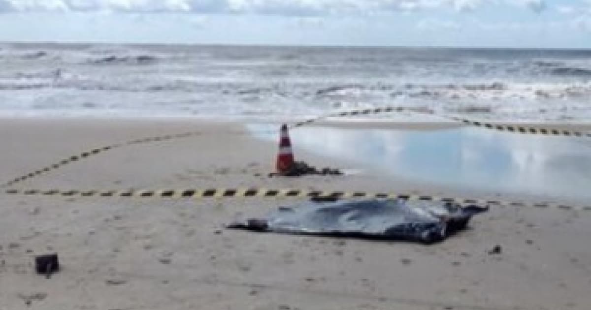 Turista é encontrado morto após sair para praticar mergulho em praia de Trancoso