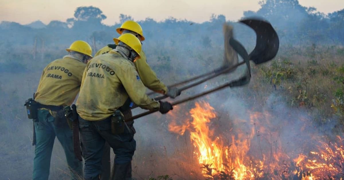 Concurso seleciona brigadistas para atuar na região de Porto Seguro