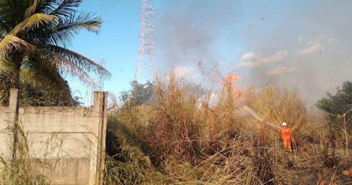 Incêndio em área de vegetação