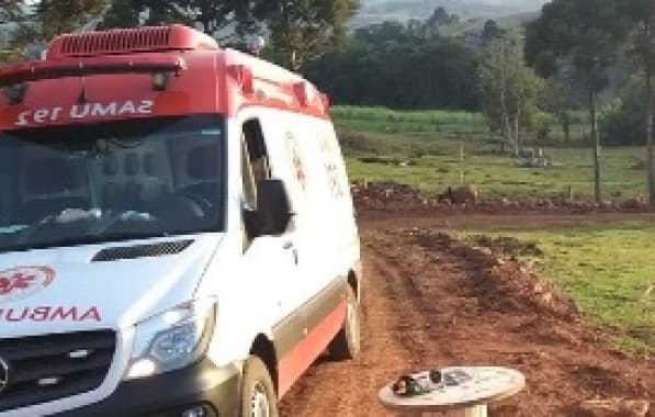 Agricultor morre após ser atacado por abelhas na zona rural de Eunápolis