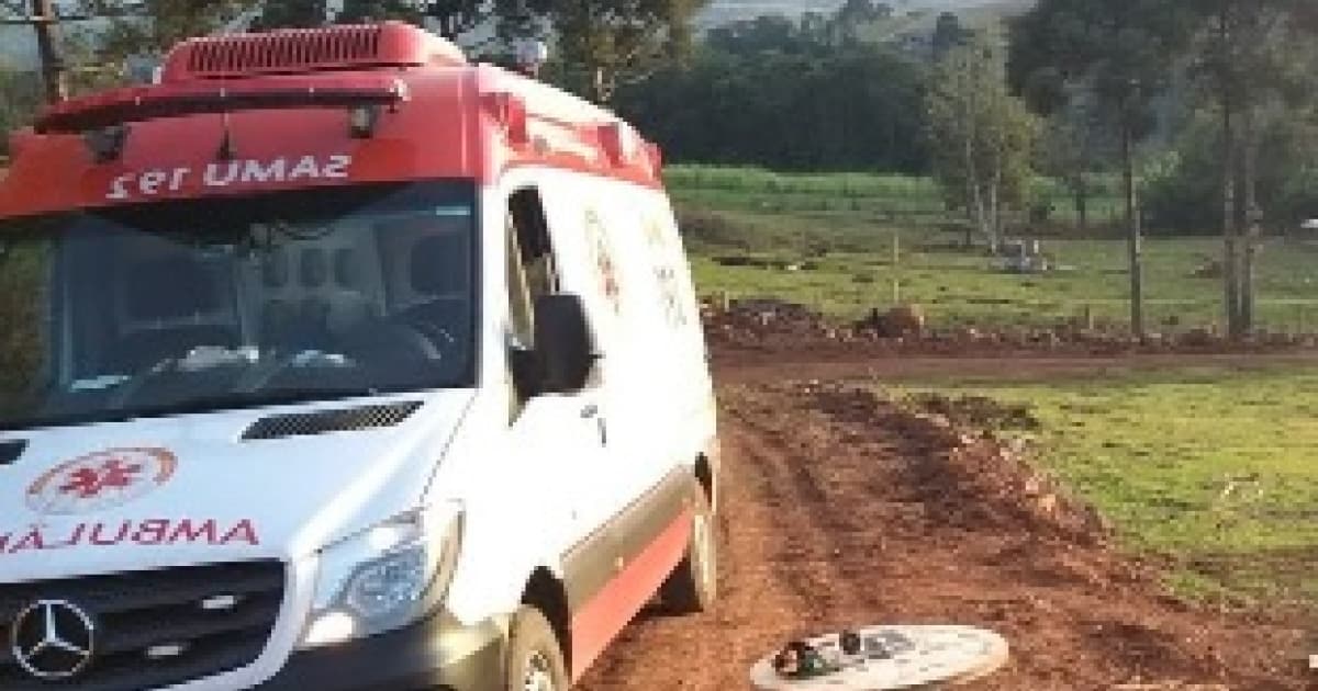 Agricultor morre após ser atacado por abelhas na zona rural de Eunápolis