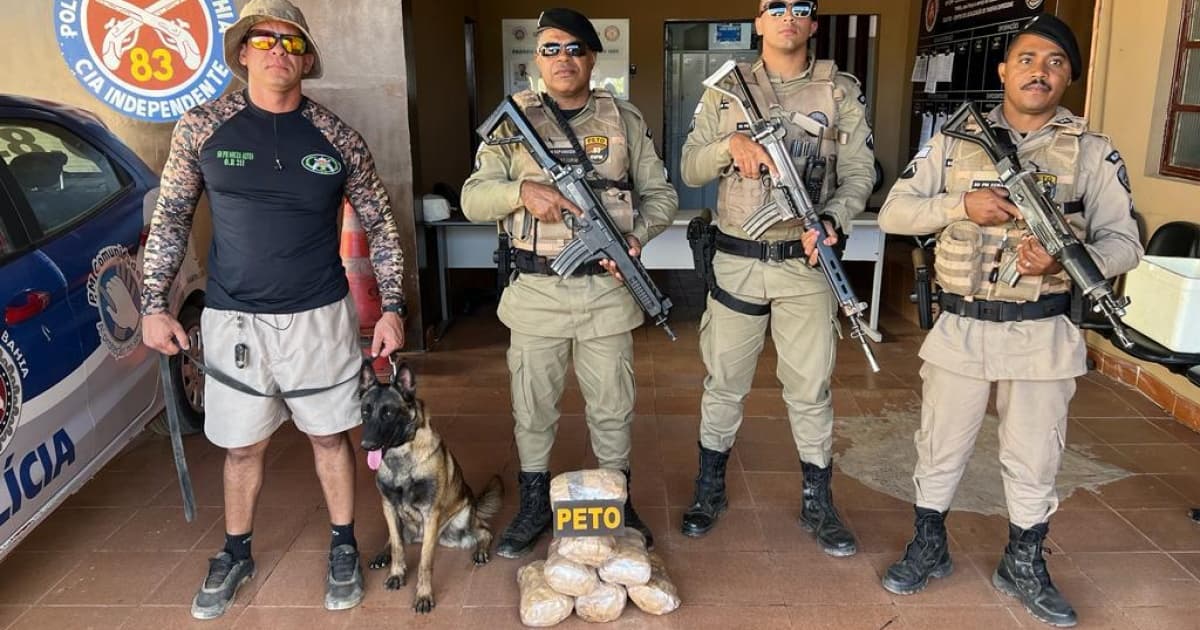 Cadela fareja em prédio em construção na Bahia e PM descobre droga escondida em isopor