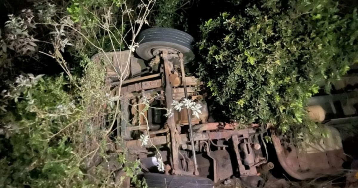 Acidente com caminhão deixa 3 animais mortos no interior baiano 