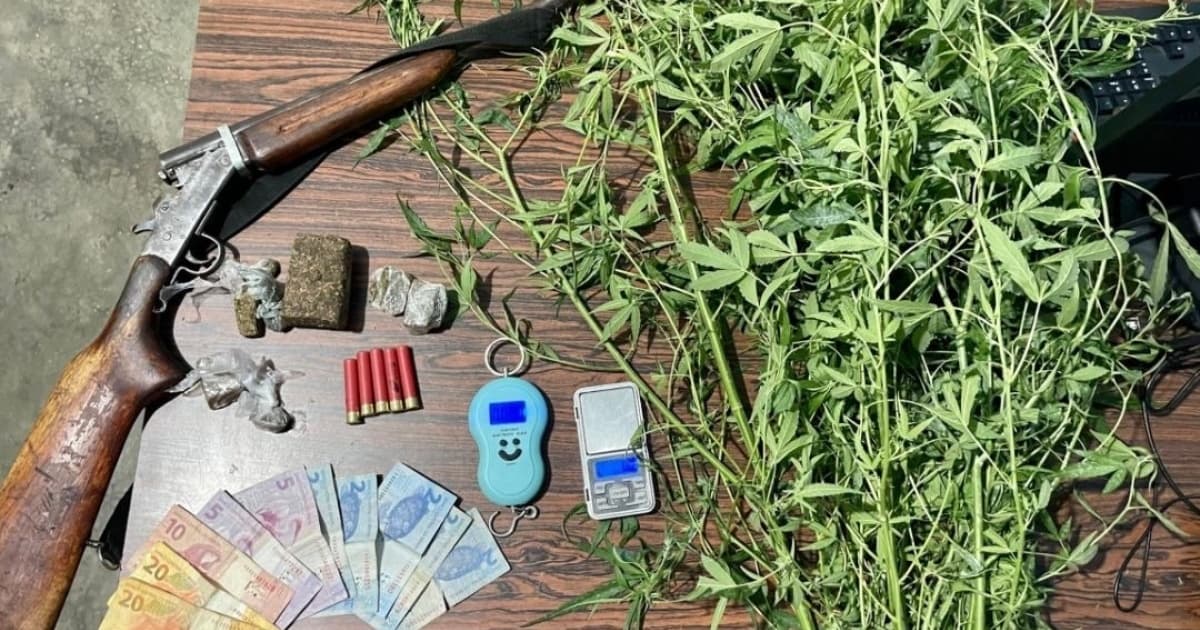 Polícia apreende arma de fogo e erradica plantação caseira de maconha no oeste baiano