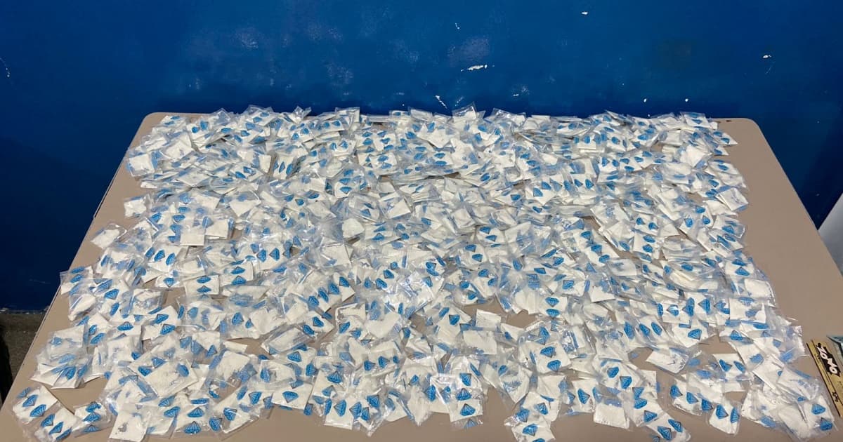 Mais de mil porções de cocaína são apreendidas em Ibotirama