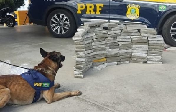 Com cão farejador, PRF encontra 89 kg de maconha em ônibus que passava por Conquista
