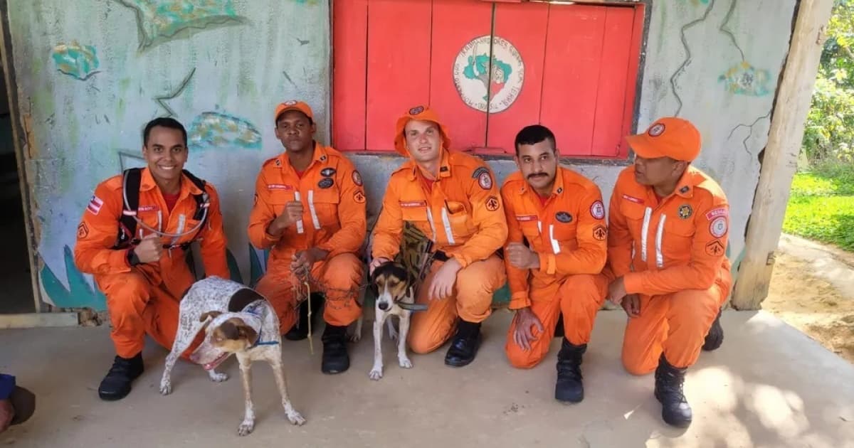 Cachorros perdidos por oito dias em morro na Bahia são resgatados por bombeiros 