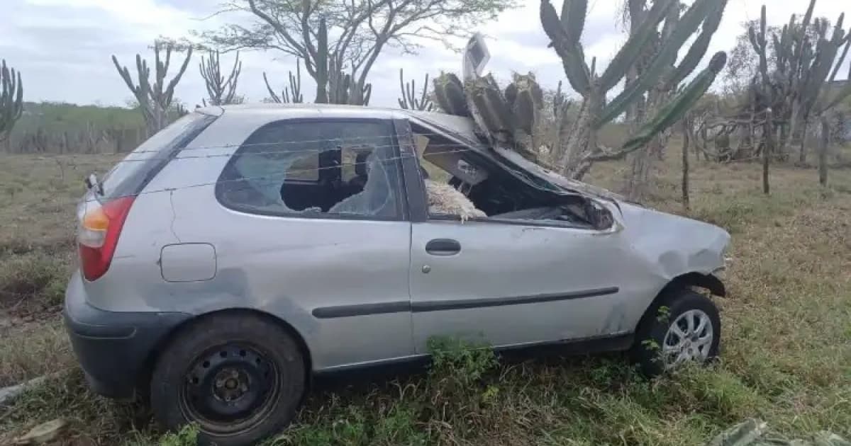 Cavalo morre e jovem que montava fica ferido em acidente na Bahia; motorista em fuga colidiu em cerca 