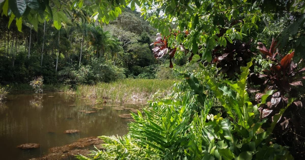Terreiro de candomblé arrecada fundos para reconstrução de represa no sul da Bahia