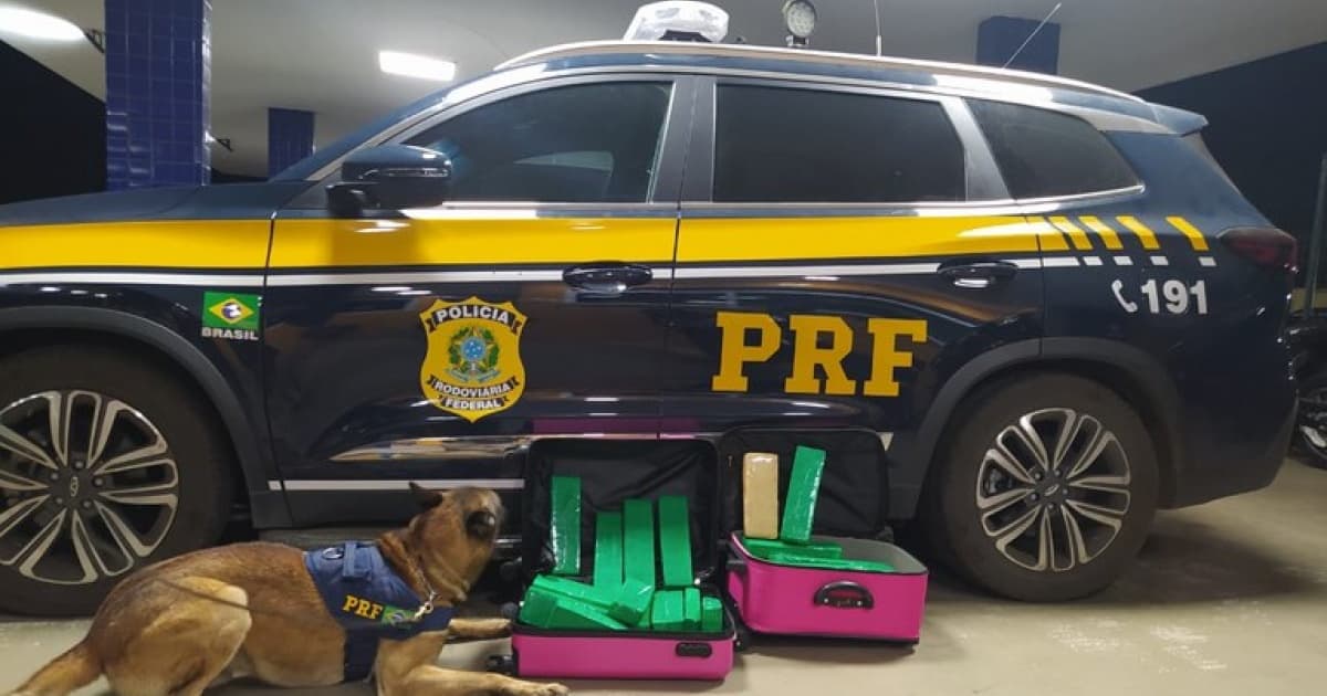 Com cão farejador, PRF flagra no Sudoeste baiano passageira com quase 30kg de maconha 