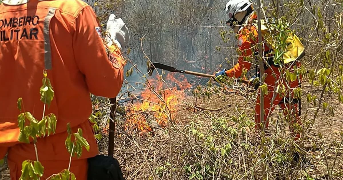 Cidades do Oeste, Chapada e Norte baiano seguem com focos de incêndio