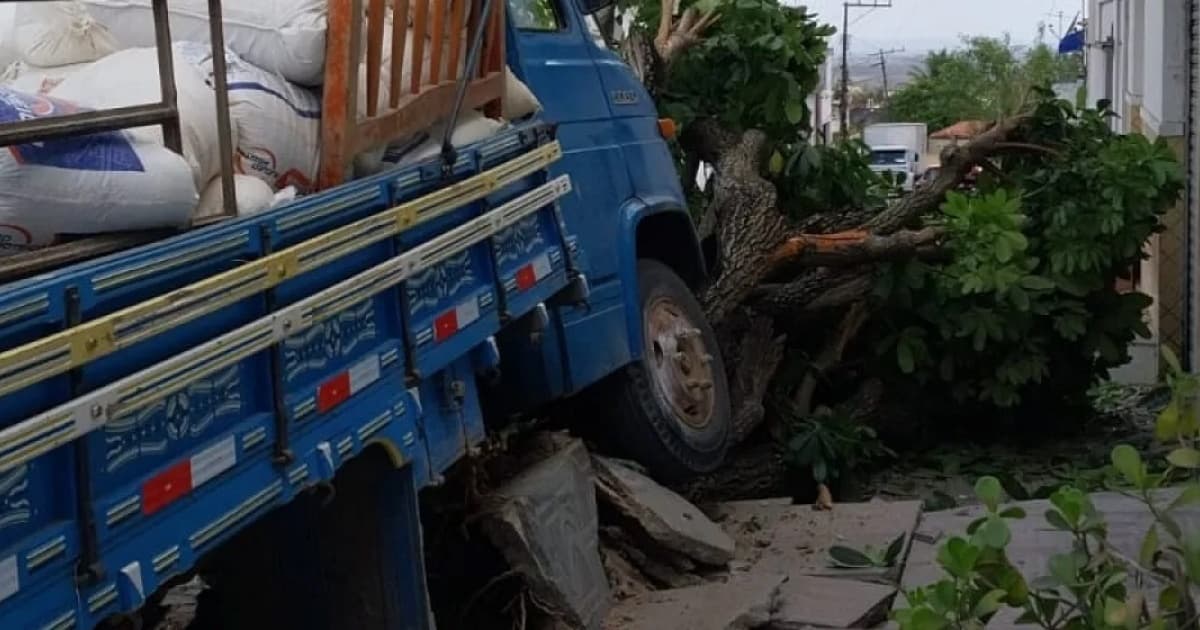 Caminhão derruba árvore após perder freio no interior baiano 