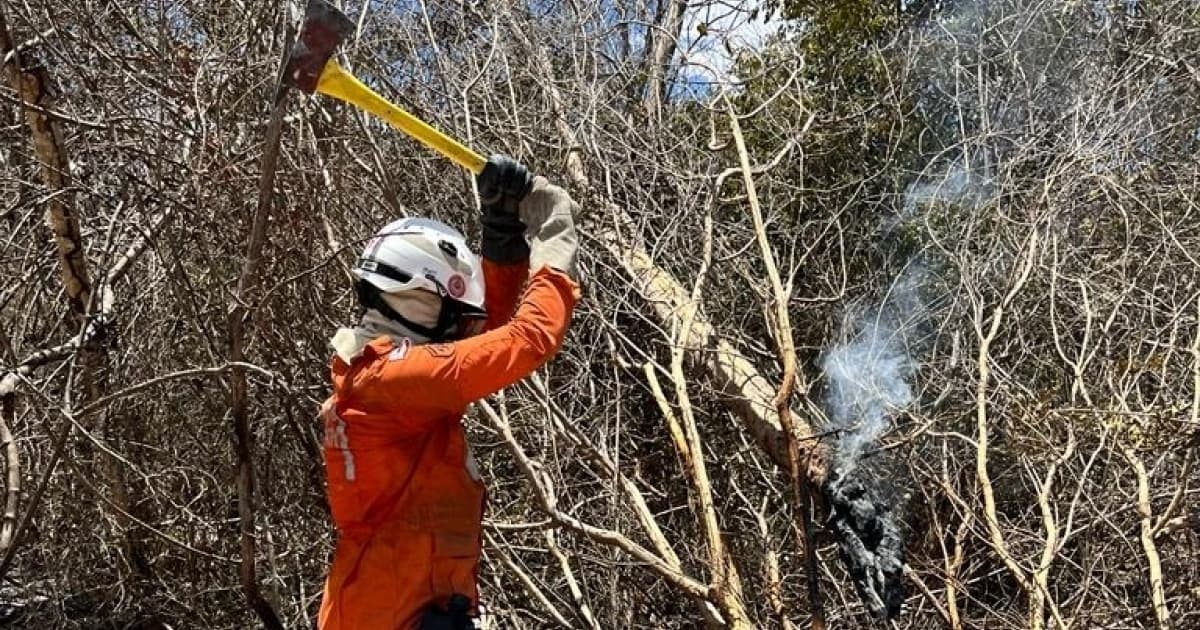 Corpo de Bombeiros controla incêndio na Serra do Candombá, na Chapada Diamantina