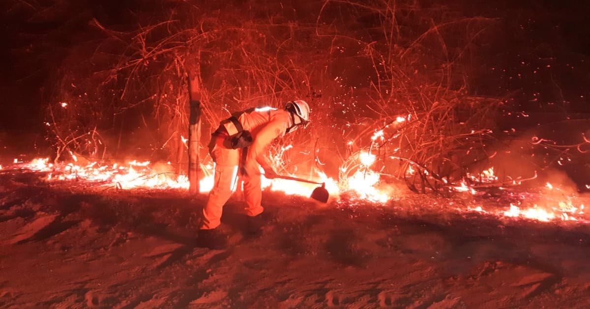 Fogo segue ativo em 21 cidades baianas; dez das afetadas estão no Oeste