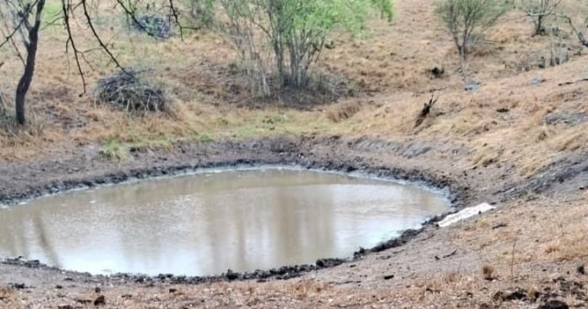 Criança de 3 anos morre afogada na zona rural de Feira de Santana