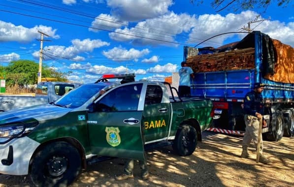 IBAMA apreende madeira ilegal no norte da Bahia 