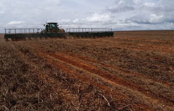 Período do vazio sanitário do algodão chega ao fim no Oeste da Bahia