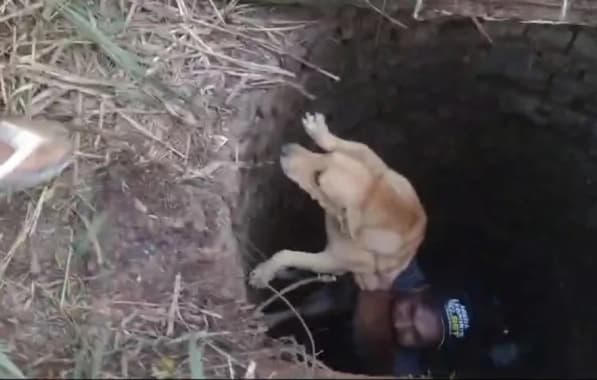 Cadela é salva por cachorro "amigo" após cair em cisterna no Extremo Sul da Bahia