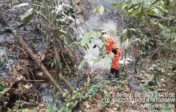 Cerca de 200 bombeiros atuam no combate a incêndios florestais no interior da Bahia neste domingo