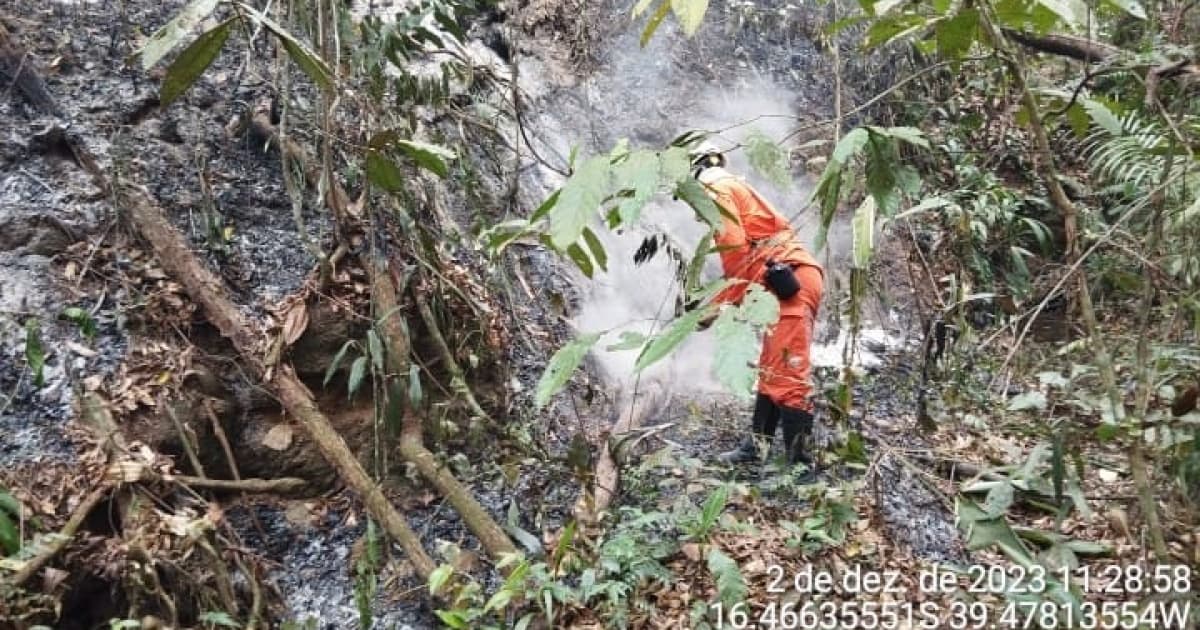 Cerca de 200 bombeiros atuam no combate a incêndios florestais no interior da Bahia neste domingo